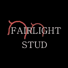 Fairlight Stud Quality Sports Horses and Ponies Sports Horse Stud Somerset UK